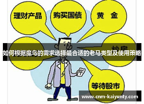 如何根据魔鸟的需求选择最合适的老马类型及使用策略