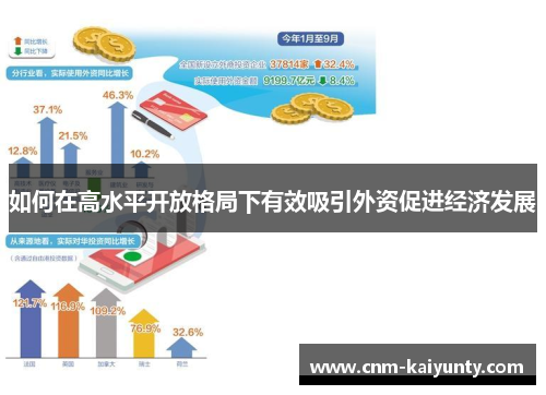 如何在高水平开放格局下有效吸引外资促进经济发展