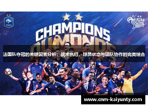 法国队夺冠的关键因素分析：战术执行、球员状态与团队协作的完美结合